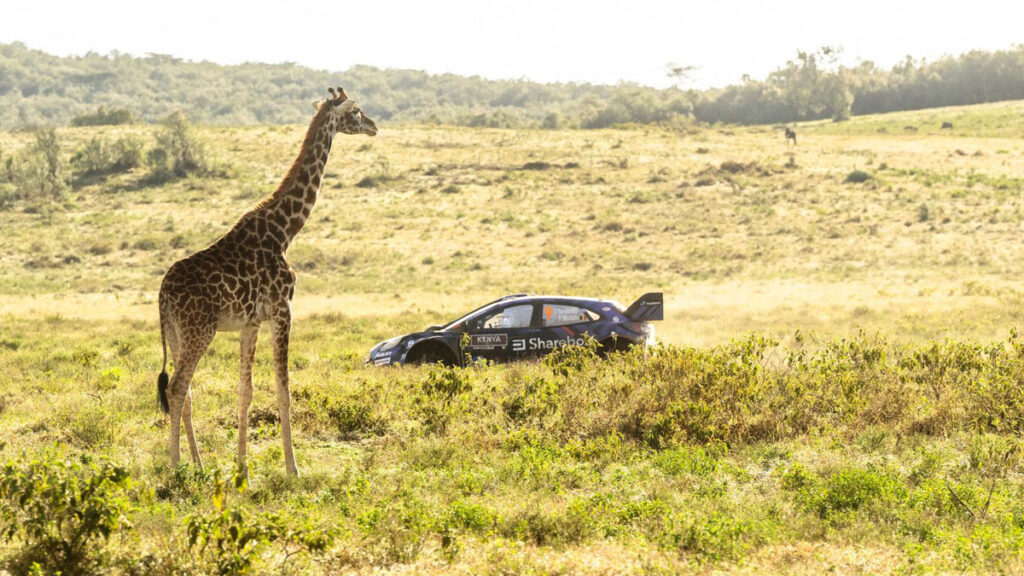 2026 WRC Safari Rally - Gallery Image 5