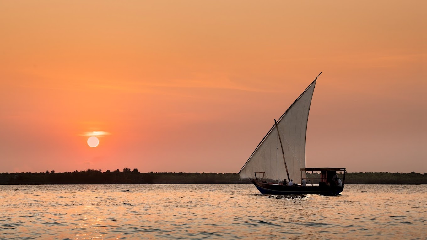 Arrival in Zanzibar – Welcome to Paradise. - Image 1