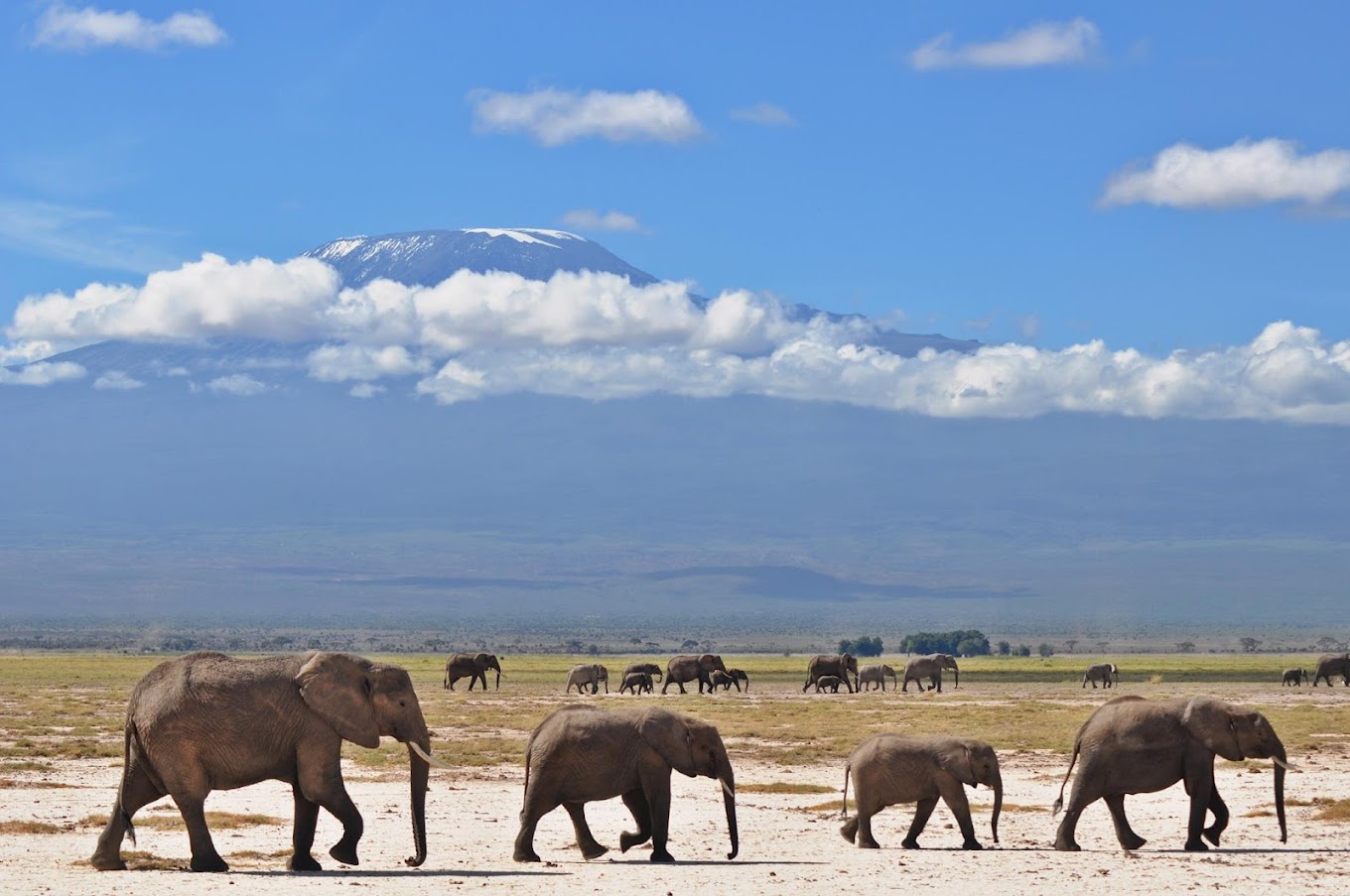 Nairobi → Amboseli National Park. - Image 1