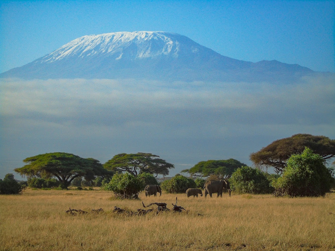 Amboseli – Exploration Day. - Image 1