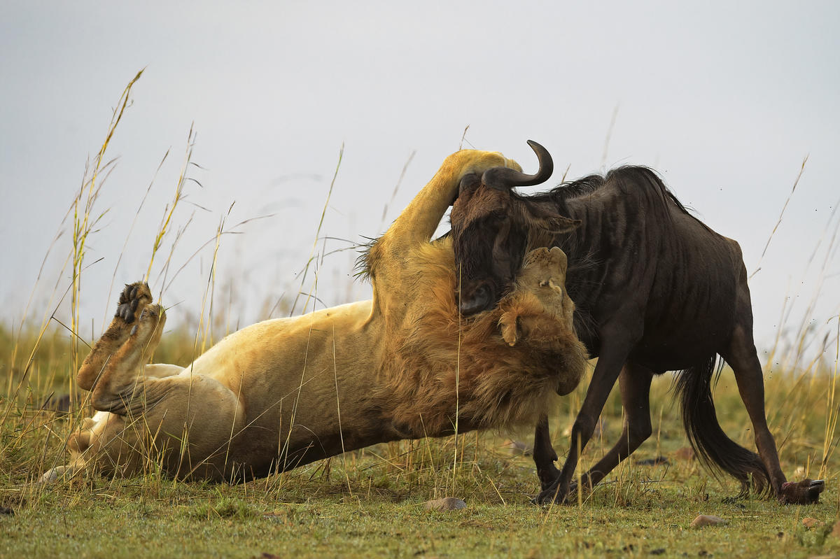 Departure. - Image 1