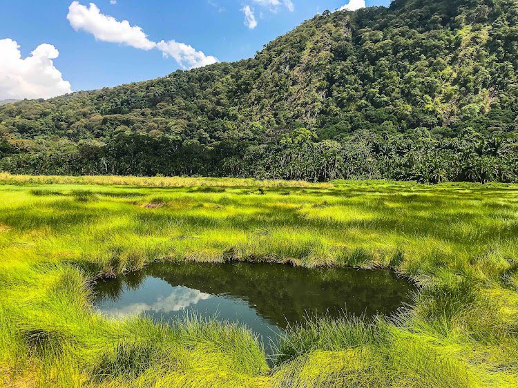 Routes & Roots Festival – Uganda 2026 - Gallery Image 3