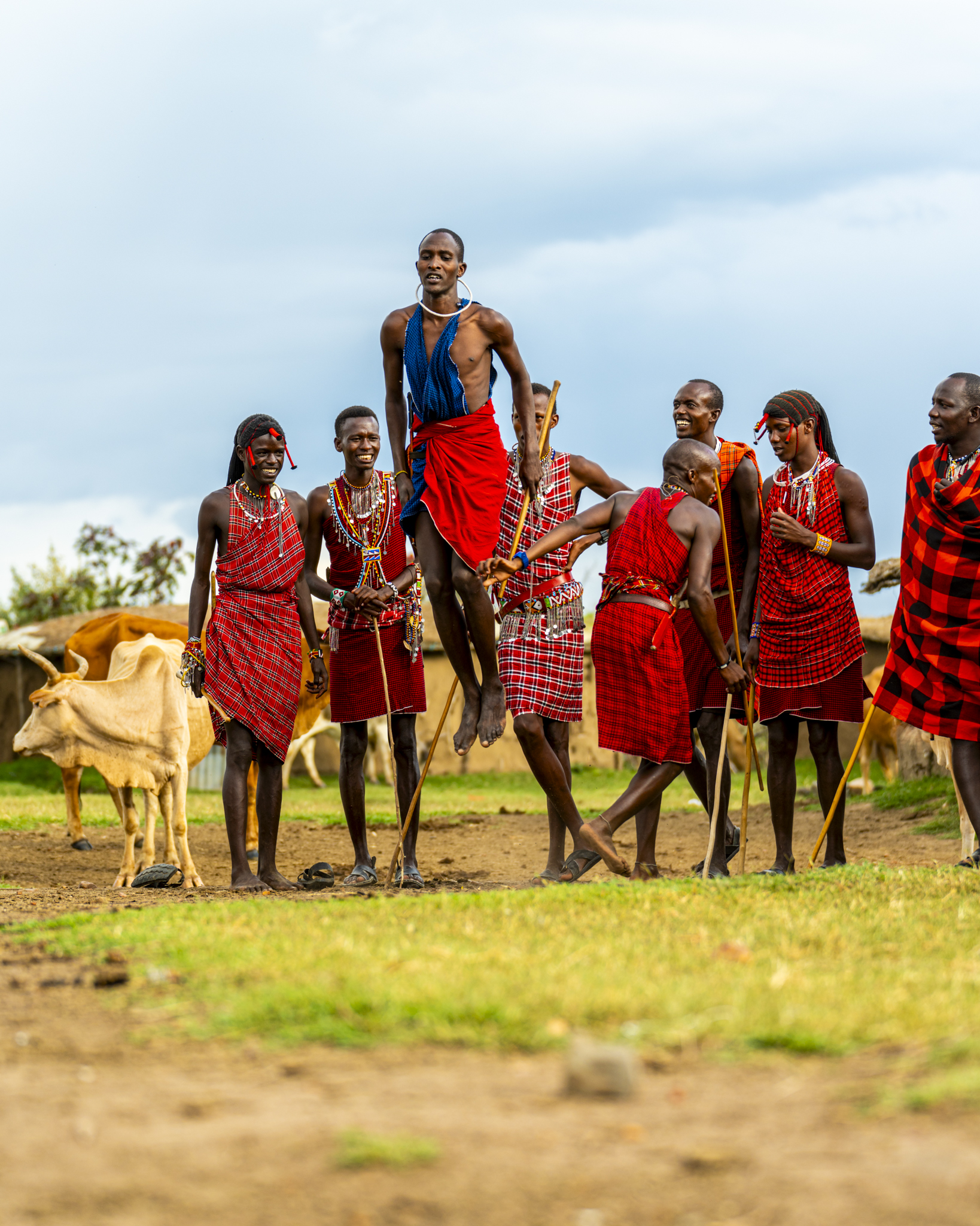 Kenya Safari Adventure - Gallery Image 6
